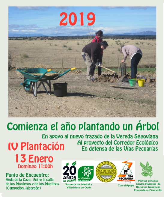 plantacion enero 2019 cartel